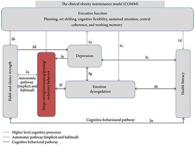 The Clinical Obesity Maintenance Model: A Theoretical Framework for Bariatric Psychology